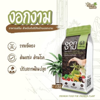 ใบสวย เงา  ก้านแข็ง งอกงาม ขนาด 1 กิโลกรัม สารปรุงดิน ฟื้นฟู…