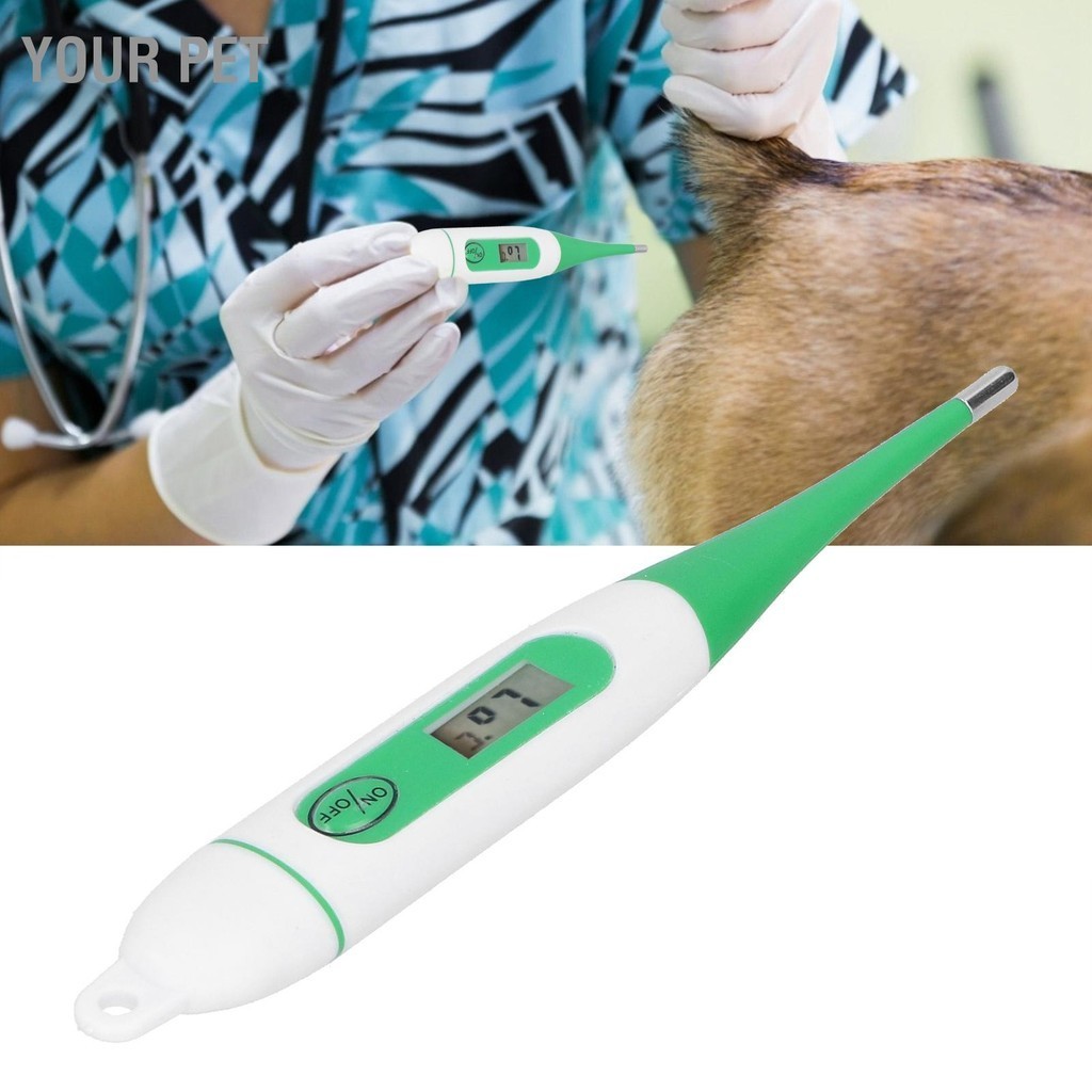 Your Pet เครื่องวัดอุณหภูมิอิเล็กทรอนิกส์สัตวแพทย์ เครื่องวัดอุณหภูมิสัตว์ดิจิตอลกันน้ำสำหรับม้าแกะวัว