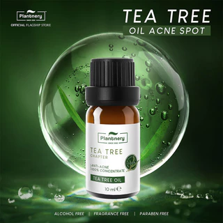 Plantnery Tea Tree Oil Concentrate 10ml แพลนท์เนอรี่ น้ำมันที ทรีเข้มข้น สำหรับแต้มสิว.