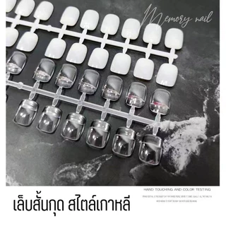 เล็บปลอม สำหรับทาสีตัวอย่าง ชาร์ตสีทาเล็บ สไตล์เกาหลี (ทรงสั้นกุด สีใส แพ็ค 240 เล็บ) *เท่ากันทุกเล็บ