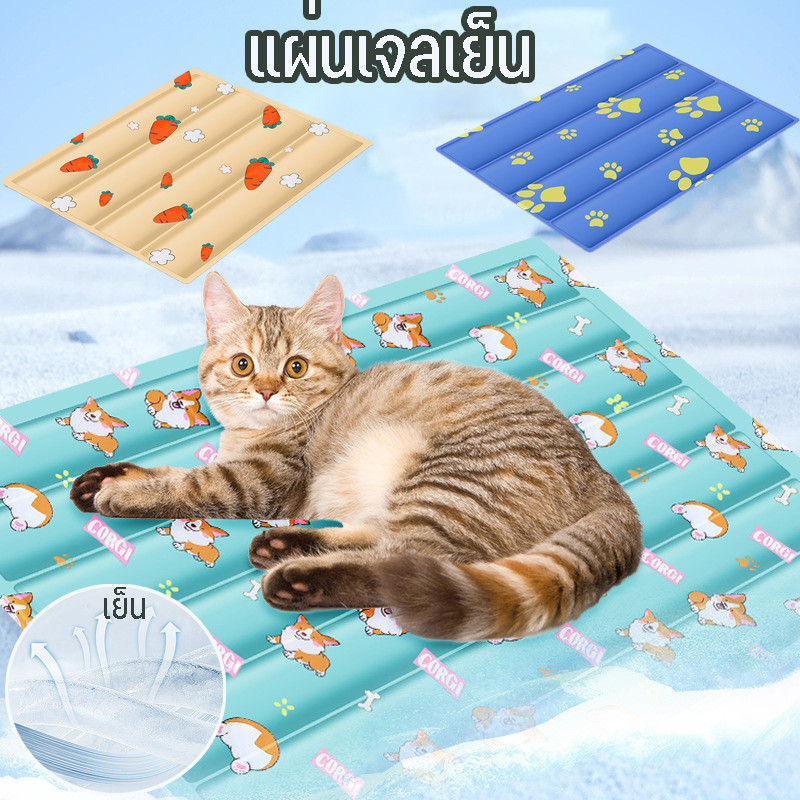 COD แผ่นเจลเย็น เบาะนอนเย็น ที่นอนเจลเย็น แผ่นทำความเย็น ที่นอนสัตว์เลี้ยง หมาแมว
