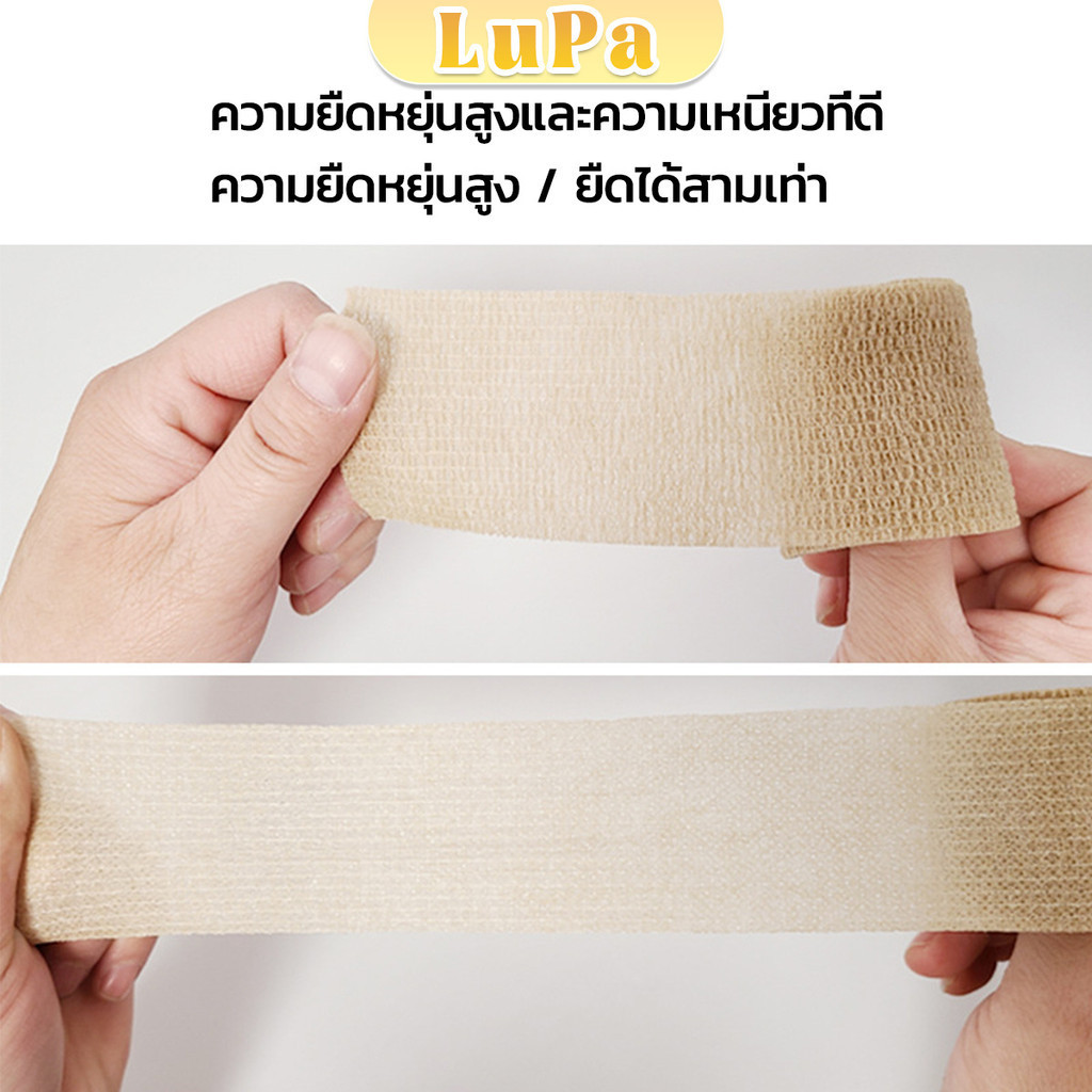 รูปภาพ 9