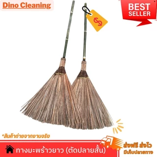 ไม้กวาดทางมะพร้าว รุ่นตัดปลายสั้น ด้ามไม้ไผ่ เเข็งเเรง ทนทาน ( พร้อมส่ง ) ความยาว 120 ซม Dino Brand