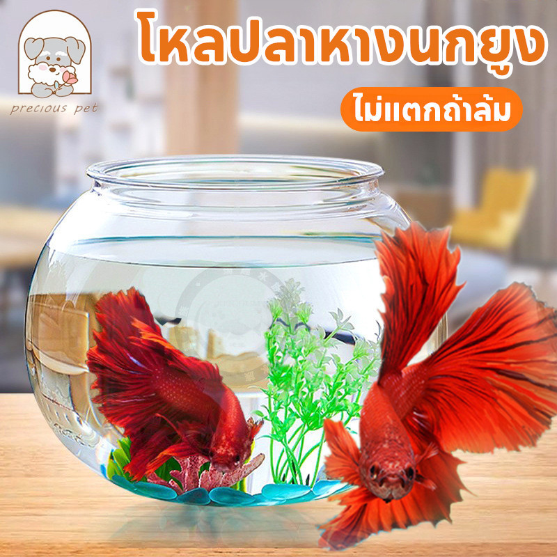 🐟ตู้ปลา🐟 โหลพลาสติก โหลปลาทอง โหลปลาหางนกยูง โหลปลากัด โหลพลาสติก ทรงกลม แข็งแรง ตกไม่แตก