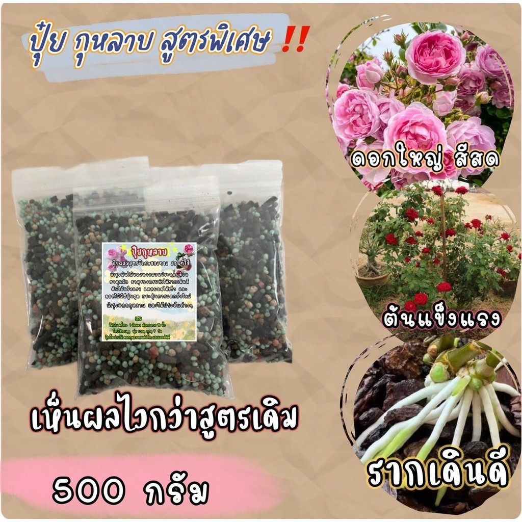 ปุ๋ยกุหลาบ สูตรเฉพาะ เห็นผลไว 10 เท่า ช่วยในเรื่อง เร่งดอก เร่งใบ รากเดินดี ยอดแตกไว กุหลาบสีสด ดอกใหญ่   ขนาด 500 กรัม
