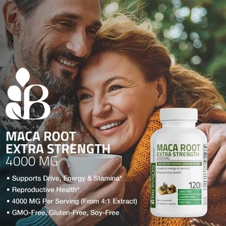 อาหารเสริม Maca Root เพื่อสนับสนุนความแข็งแกร่ง พลังงาน และสุขภาพสำหรับผู้ชายและผู้หญิง