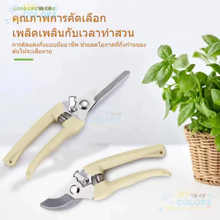 กรรไกรตัดกิ่งไม้ กรรไกรแต่งกิ่ง 6.5 นิ้ว ใบมีดสแตนเลส อย่างดี รหัส