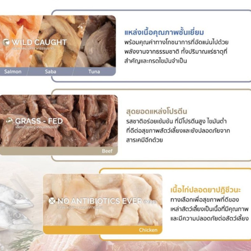 [85g สุนัข] Felina Canino Single Protein อาหารเปียกสุนัข เนื้อเน้นๆ ไม่เติมเกลือ