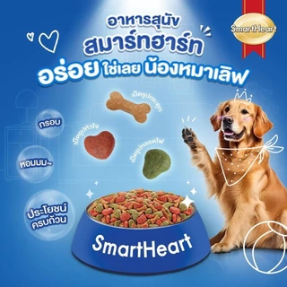 SmartHeart สมาร์ทฮาร์ท อาหารสุนัข กระสอบ 9-10kg สำหรับสุนัขโตพันธุ์ใหญ่ ทุกสายพันธุ์ อายุ 1 ปีขึ้นไป