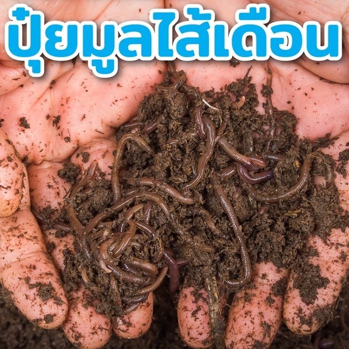 ปุ๋ยมูลไส้เดือน ปุ๋ยอินทรีย์ ไม้ฟอกอากาศ ปุ๋ยใส่ผัก ผสมดินปลูกต้นไม้ ราคาถูก  ผสมปลูกแคนตัส เนื้อละเอียด