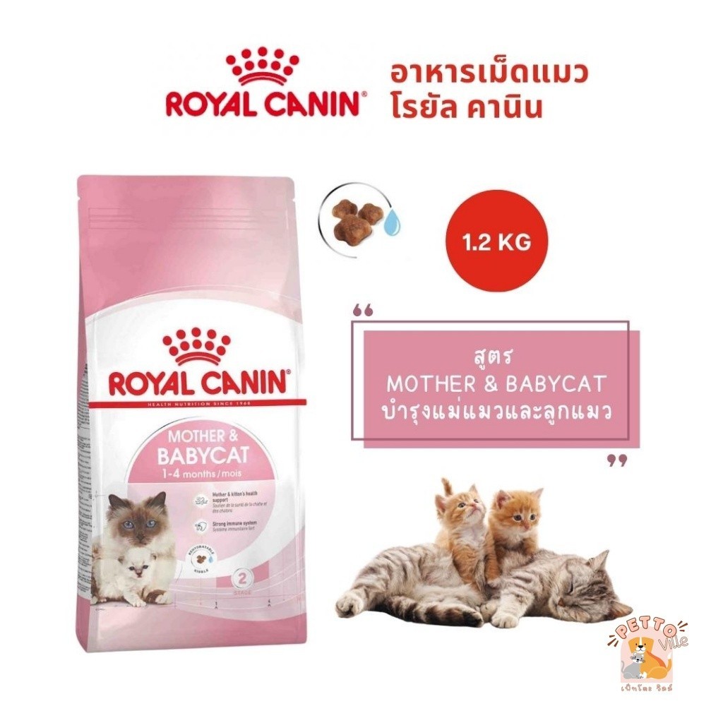 Royal Canin Mother & Babycat ขนาด 1.2kg บำรุงแม่แมวและลูกแมว อาหารแมว