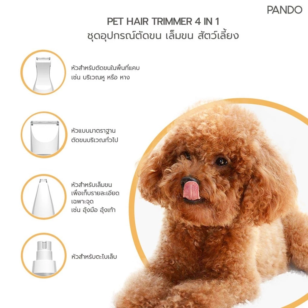 [สินค้าใหม่] PANDO Pet Hair Trimmer 4 in 1 Pro แพนโด้ ชุดอุปกรณ์ตัดขน เล็มขน สัตว์เลี้ยง รุ่นโปร thumbnail 5