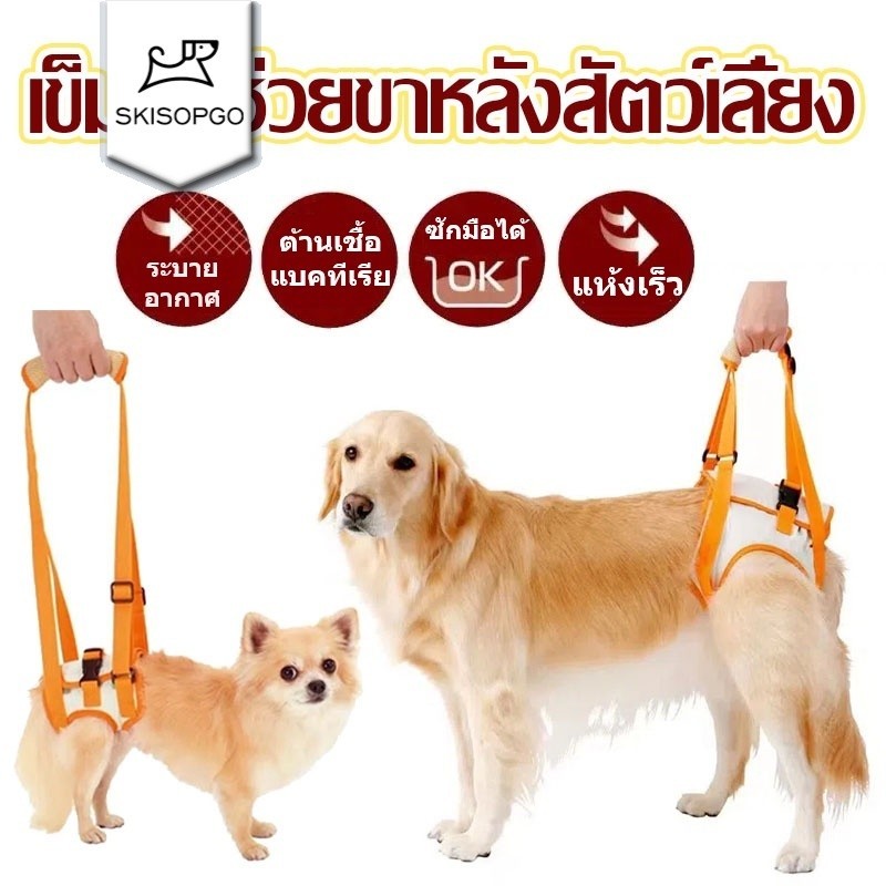 SKISOPGO เข็มขัดช่วยขาหลังสัตว์เลี้ยง ผ้าพยุงสุนัข ใส่ได้นาน ผ้าเบา ระบายอากาศดี พยุงหลัง สำหรับน้องหมากลาง