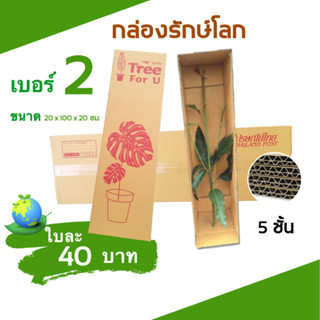 ++QBox7มีไร++ กล่องต้นไม้ เบอร์ 2 ลูกฟูกหนา 5 ชั้น (จำนวน 5 …