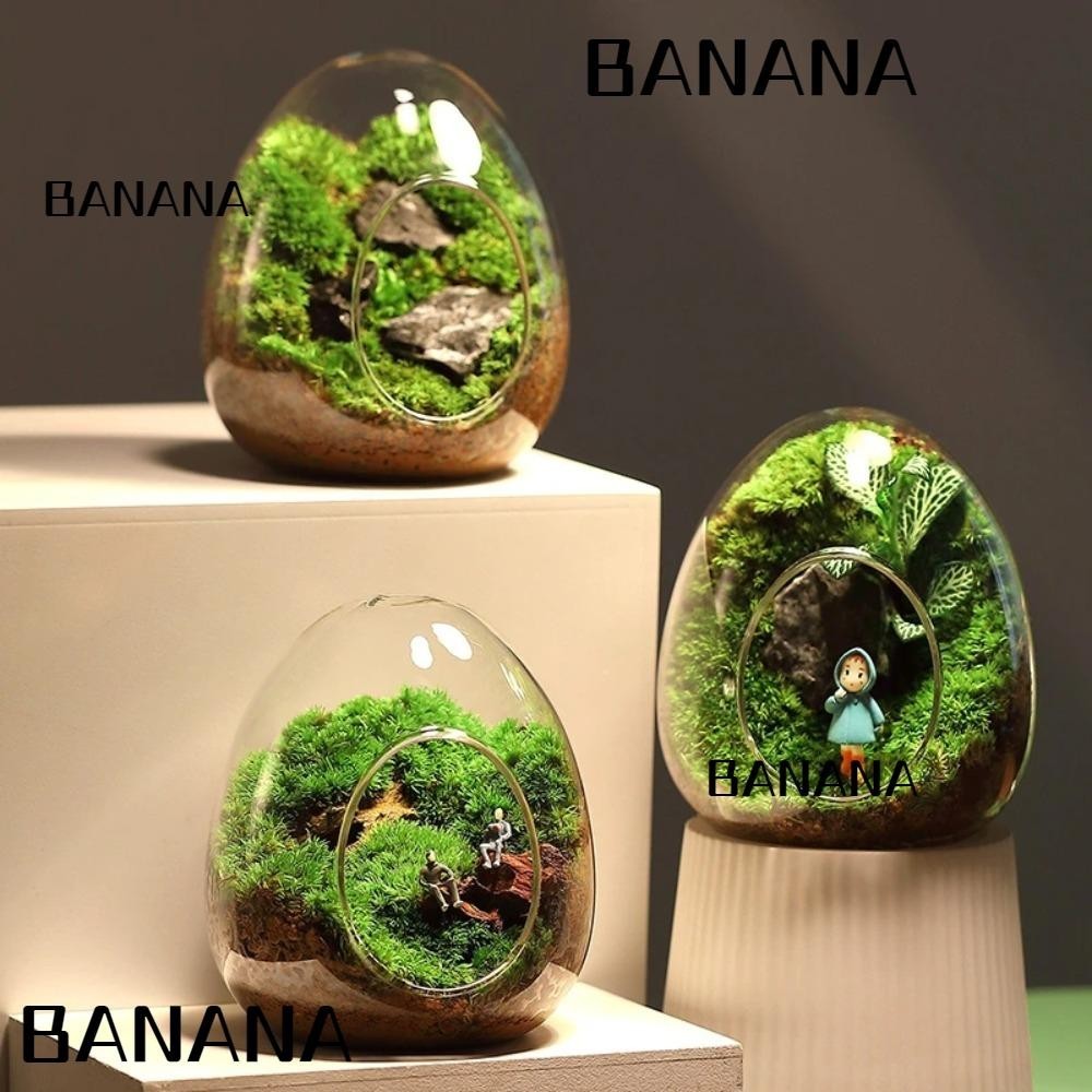 Banana1 ขวดแก้ว รูปไข่ สําหรับสวนขวด ภูมิทัศน์ขนาดเล็ก