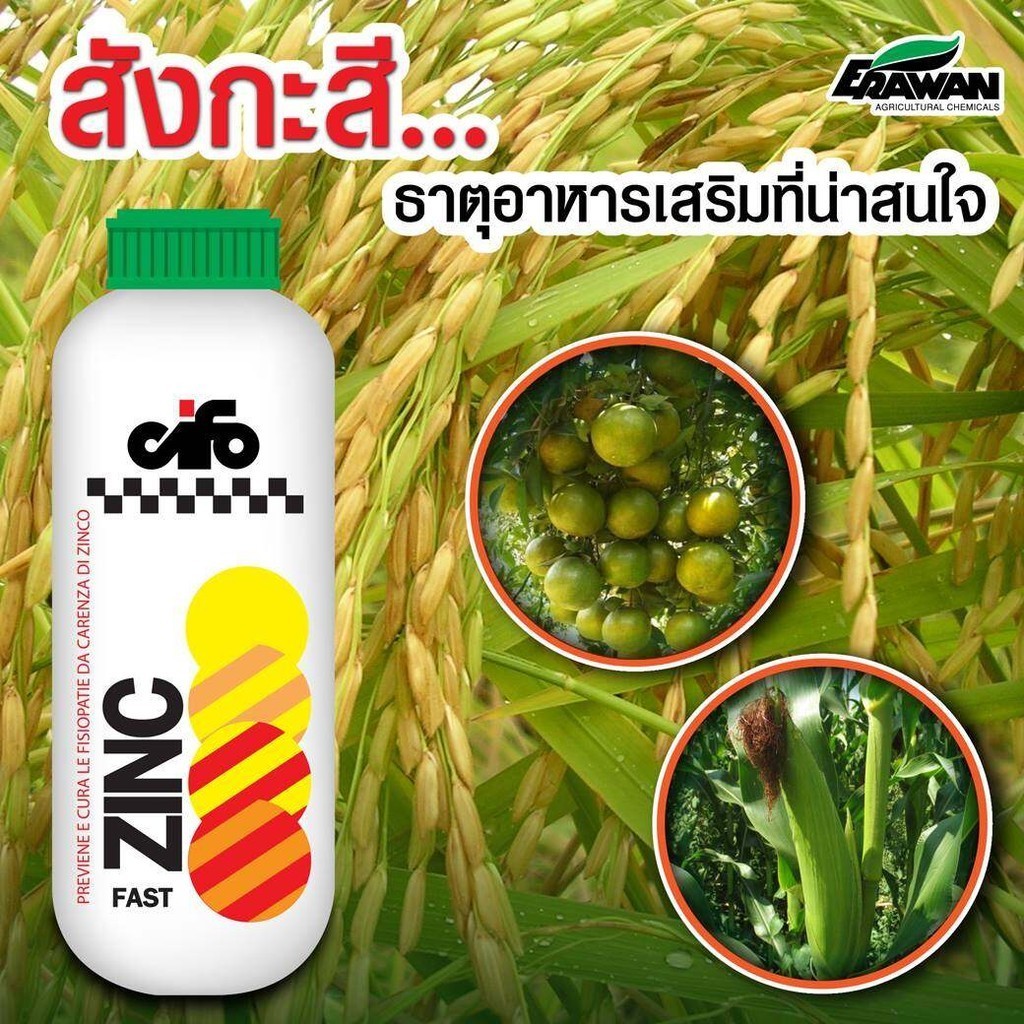 ซิงค์พาสส์ (Zn-Fast) สังกะสี 13.3% เพื่อการออกดอกที่สมบูรณ์ สะสมอาหาร ปรับสมดุลในต้นพืช พืชกินทันที ตรา เอราวัณ