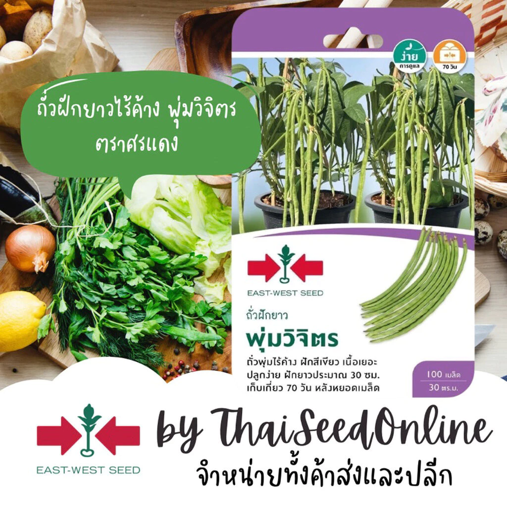 Sorndang(ศรแดง) GGEW เมล็ดพันธุ์ซฟ ถั่วฝักยาว ถั่วพุ่ม พุ่มวิจิตร 100 เมล็ด ตราศรแดง Cowpea