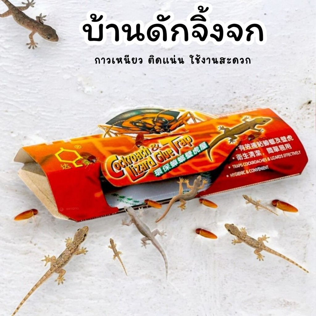 บ้านจิ้งจก กับดักจิ้งจก/แมลง กาวติดแน่น ไม่มีสารเคมี ไร้กังวล #AI-0010