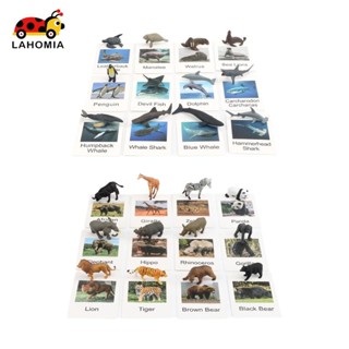 ลาโฮเมีย ตัวเลขสัตว์ขนาดเล็กที่สมจริง 12 ชิ้นพร้อมวิทยาศาสตร…