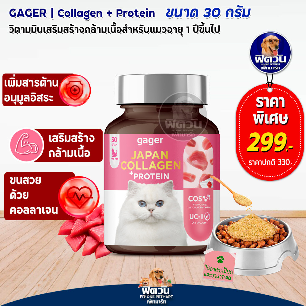 Gager (กาเจอร์) ผงคอลลาเจนโปรตีนจากญี่ปุ่น อาหารเสริมช่วยบำรุงสุขภาพแมว เสริมสร้างกล้ามเนื้อ 30g.{อื