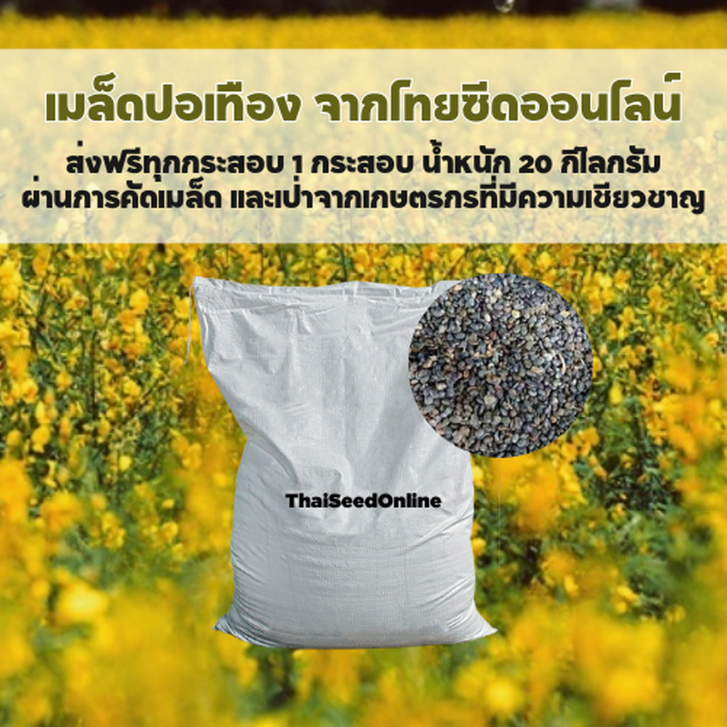 🔥ยกกระสอบ🔥20กิโลคุ้มๆ เมล็ดพันธุ์ ปอเทือง ราคาส่ง ยกกระสอบ 20 กก.
