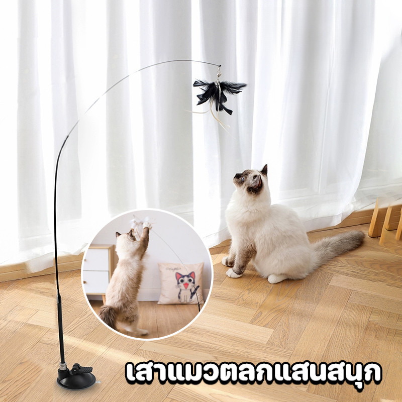 พร้อมส่ง😻ของเล่นแมว ของเล่นล่อแมว Cat toy ขนนก แบบปุ่มดูดสุญญากาศ ไม้แหย่แมว และแบบติดกระจก