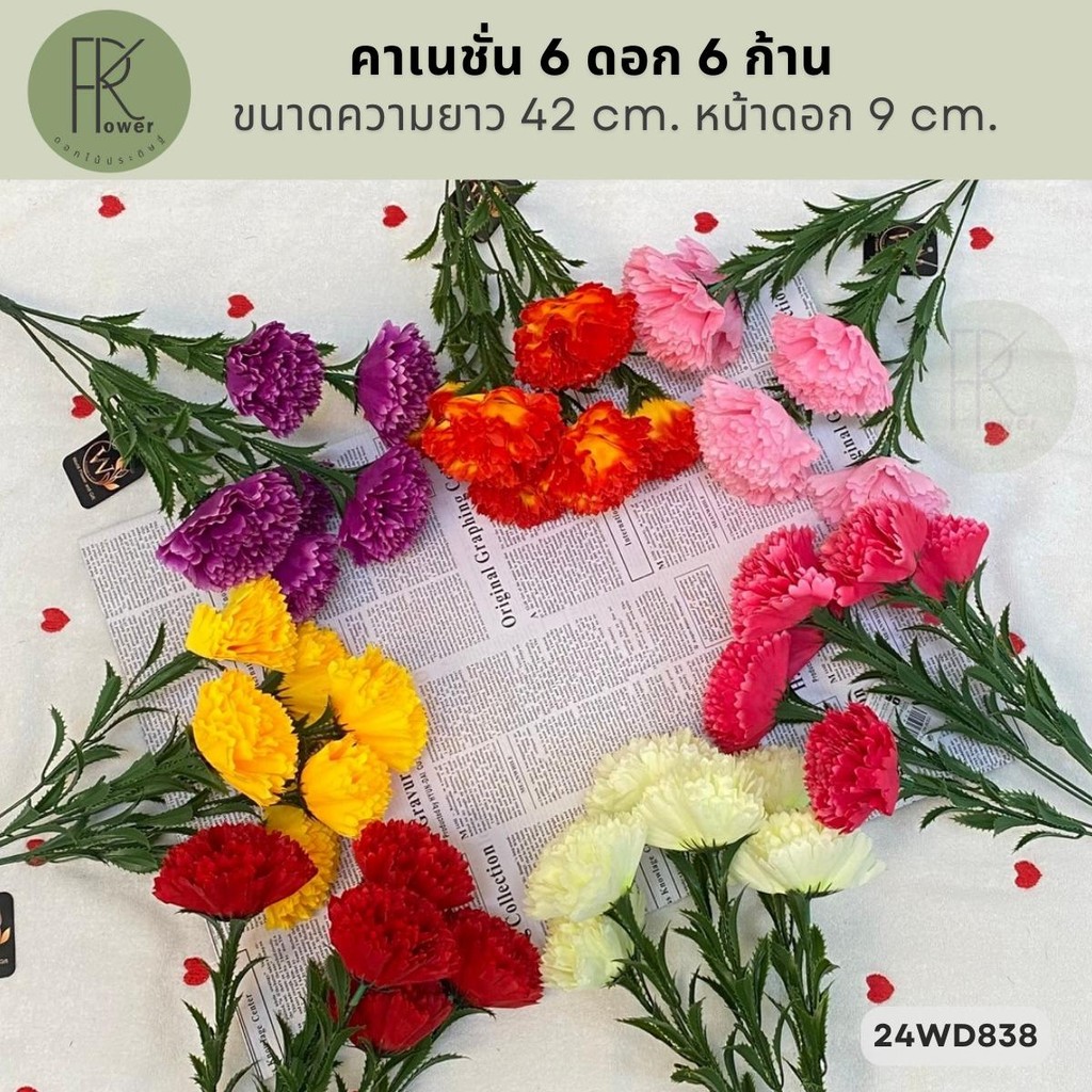 คาเนชั่น 6 ดอก 6 ก้าน ขนาดความยาว 42 cm. หน้าดอก 9 cm.