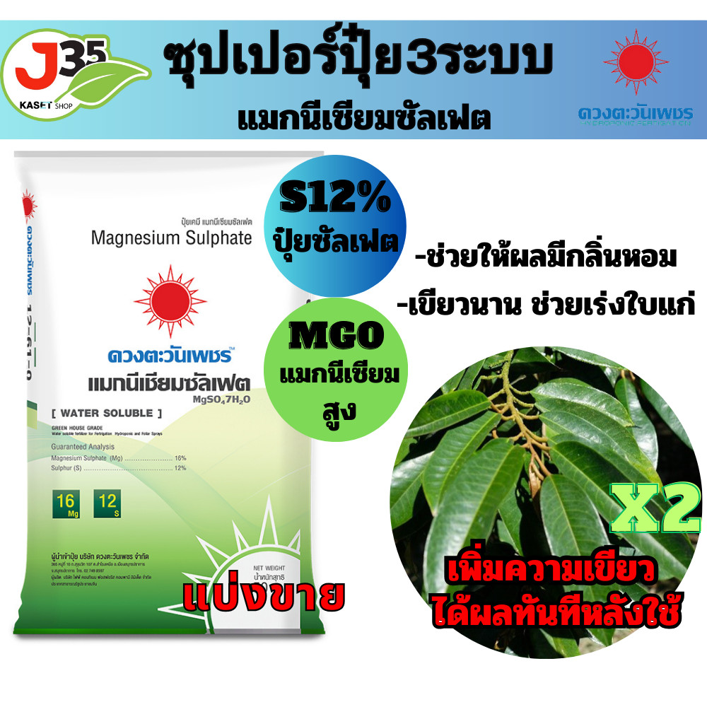 แมกนีเซียมซัลเฟต 1,5 กิโล ปุ้ยเกล็ด ปุ๋ยใบทาง เพิ่มความเขียวX2 เห็นผลทันทีหลังใช้ เขียวนาน