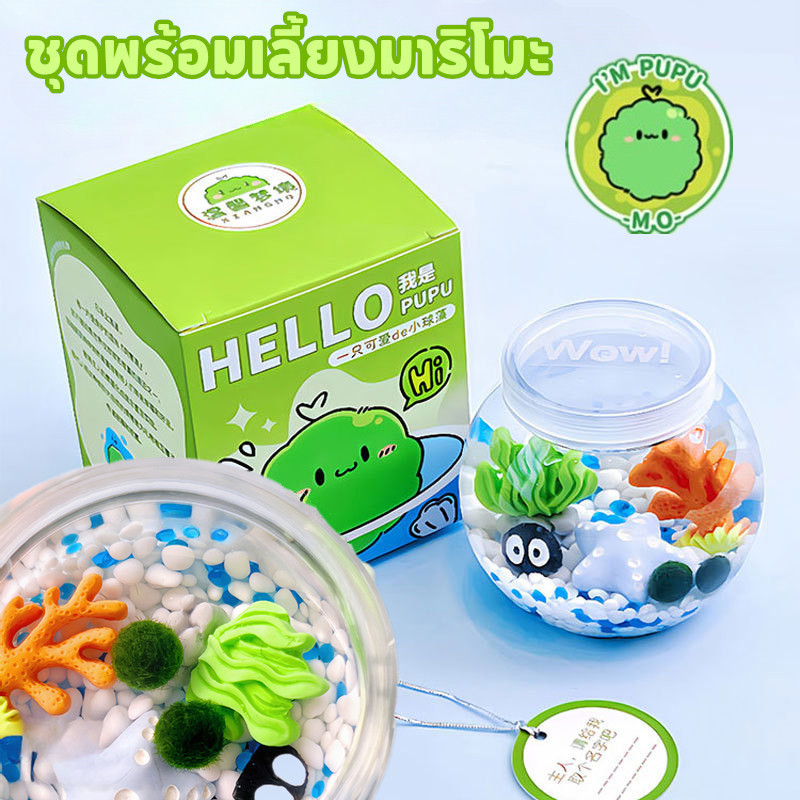 ชุดพร้อมเลี้ยงมาริโมะ Marimo มอสบอล มาริโมะ เหมาะสำหรับให้เป็นของขวัญสำหรับคนที่รัก
