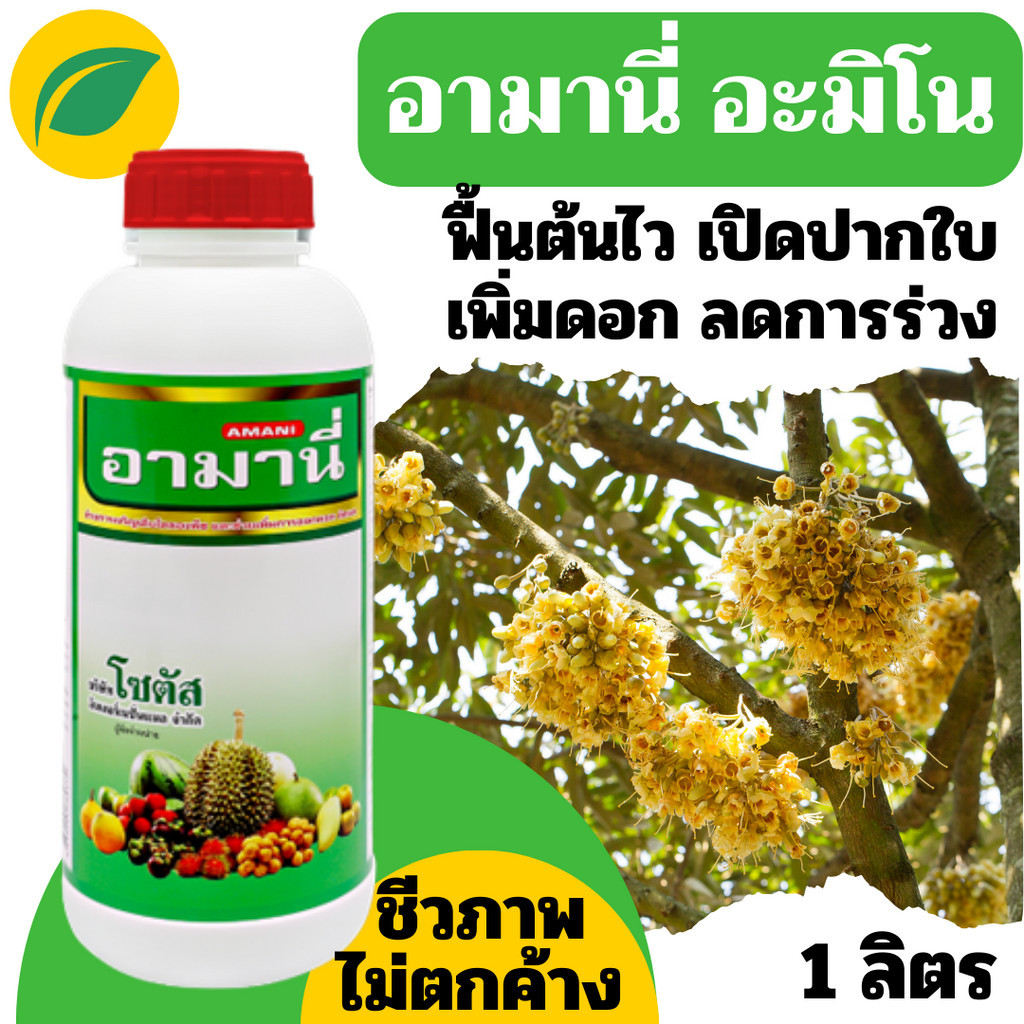 [โซตัส] อามานี่ กรดอะมิโนทางด่วนสำหรับพืช กระตุ้นการเปิดปากใบ เร่งการสังเคราะห์แสง สร้างอาหาร ขนาด 1ลิตร