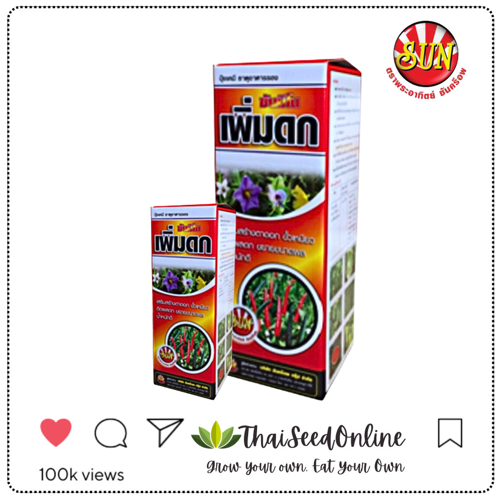 SUNCROP ขายดีมาก เพิ่มดก ซีซี อะมิโนสำหรับพริก มะเขือ ถั่วฝักยาว