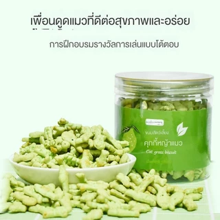 คุกกี้มิ้นท์แมว ขนมแมว ลูกแมวอ้วน ย่อยง่ายและดูดซึม