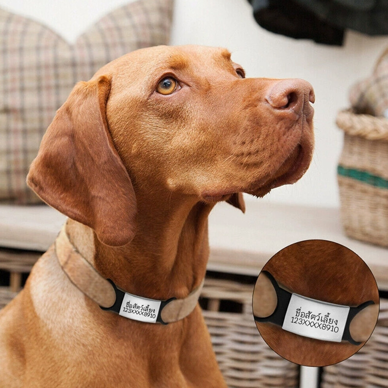 รูปภาพ 9