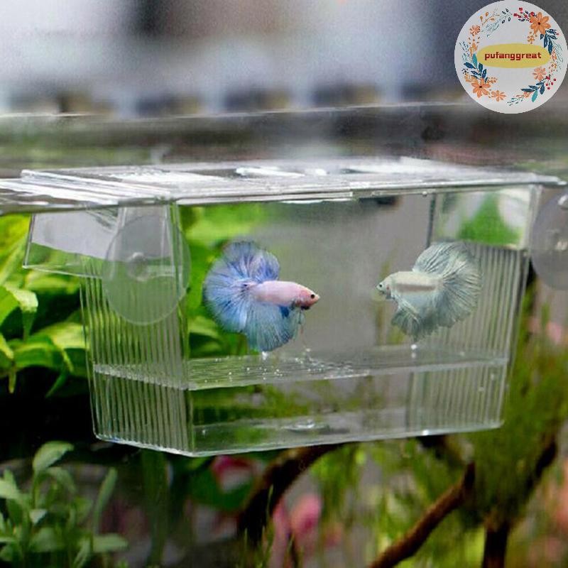 Pufanggreat Aquarium Fish Tank Guppy Double Breeding Breeder Rearing Trap Box Hatchery TH