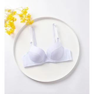 เสื้อใน Daisy#A262 บราคัพ AB สวมใส่สบาย มีโครง มีฟองน้ำ2 ซม
