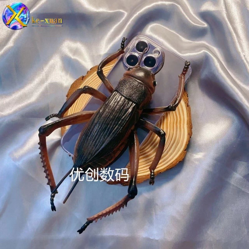 จิ้งหรีดจําลอง สามมิติ สําหรับ OPPOa16reno987654เคสโทรศัพท์มือถือ แบบนิ่ม พิมพ์ลาย สําหรับ A72 A55 A