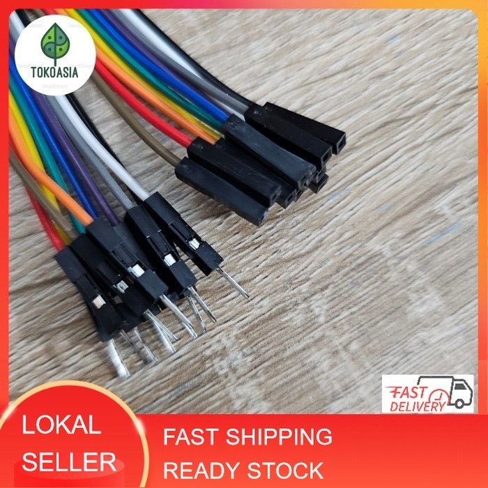 Kabel jumper male to female 10 pin  (20cm)