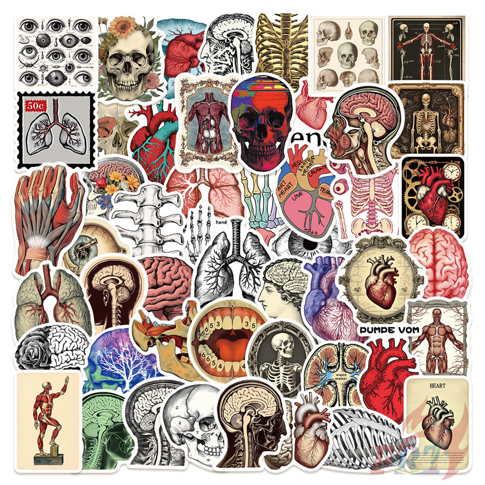 ❉ Human Anatomy Art Series 04 สติ๊กเกอร์ ❉ 50 ชิ้น/เซ็ต DIY กันน้ําแฟชั่น Decals สติ๊กเกอร์ Doodle