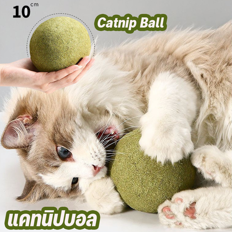 พร้อมส่ง😻catnip ball แคทนิปบอล 10cm ซุปเปอร์ใหญ่ กัญชาแมว ของเล่นแมวเลีย ผ่อนคลาย อารมณ์ดี