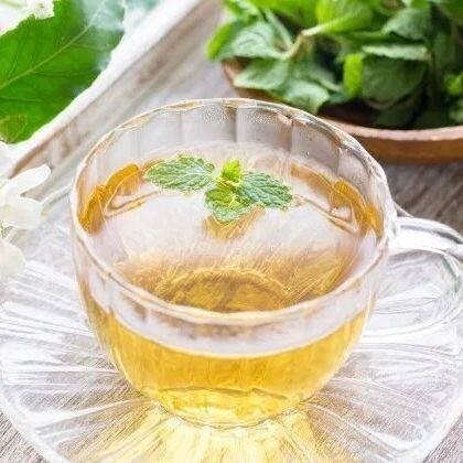 มิ้นญี่ปุ่น สเปียร์มินต์ เมล็ดพันธุ์   Japanese mint 90-200 เมล็ด (ซื้อ 10 แถม 1 คละได้) ราคา ถูกที่สุด ดีลบีเคเค แกลเลอรีภาพที่ 5