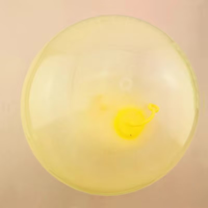 Tpr ลูกโป่งเป่าลม ขนาดใหญ่ ของเล่นสําหรับเด็ก - รูปที่ 7