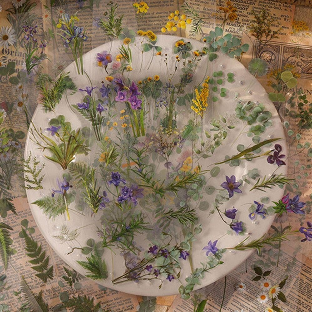 LACYESZB 6 ชิ้น/แพ็ค PVC พืชดอกไม้สติกเกอร์,สติกเกอร์ DIY สติกเกอร์สมุดภาพธรรมชาติ,วัสดุตกแต่งกาวกันน้ําปั๊มร้อนสติกเกอร์ดอกไม้โปร่งใสอัลบั้ม - รูปที่ 2