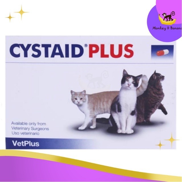 (exp 31/05/2026)cystaid plus  30 เม็ด อาหารเสริมสำหรับแมวฉี่ลำบาก