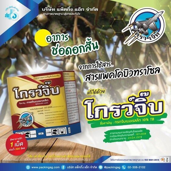 จิ๊บเม็ด โกรว์จิ๊บ ขนาด 10 กรัม กรดจิบเบอเรลลิก 10% TB  ยายืด ชนิดเม็ด ยืดต้น ยืดลูก ยืดช่อดอก เม็ดใหญ่