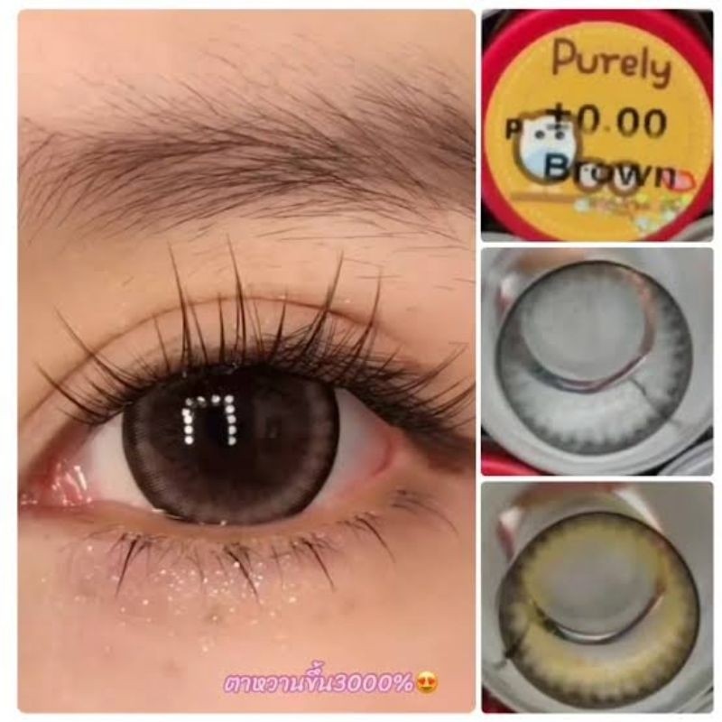 คอนแทคเลนส์ บิ๊กอาย รุ่น Forest สีเทา/ตาล Gray/Brown ค่าสายตา (0.00)-(-10.00)