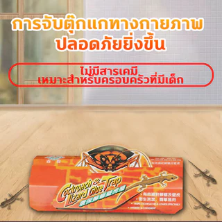 ดักจิ้งจก กาวที่มีประสิทธิภาพ หนีไม่ได้ถ้าติดอยู่ ไร้สารพิษ ไม่มีกลิ่น ตัวกล่องกันความชื้น สามารถใช้งานได้หลายจุด