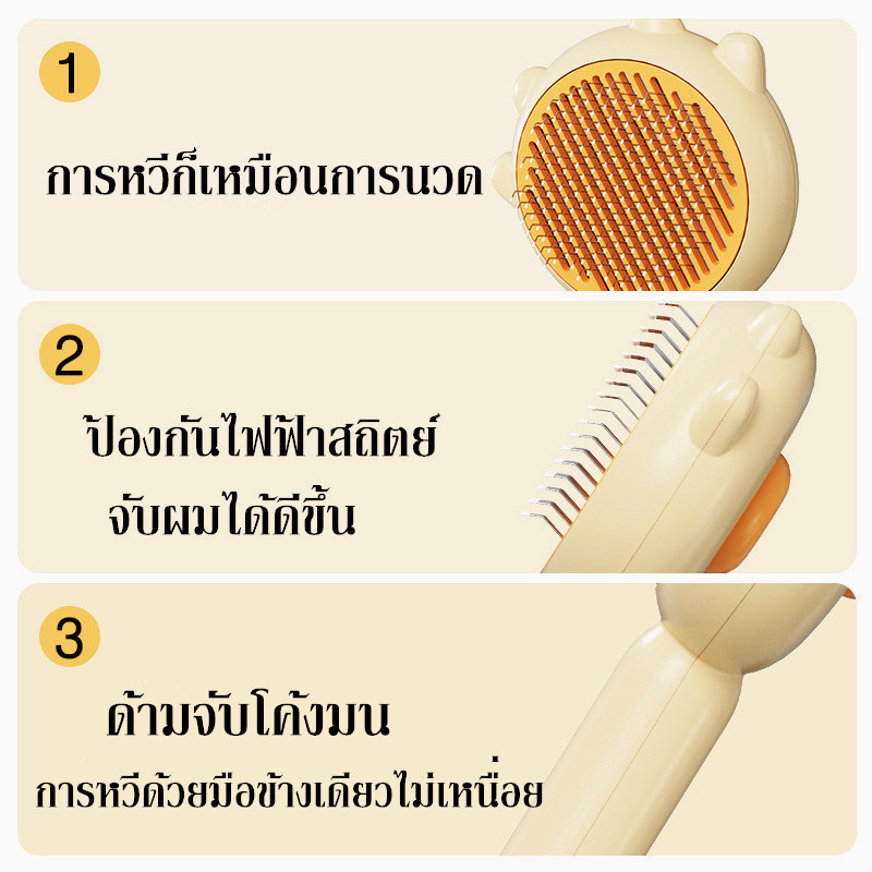 รูปภาพ 5