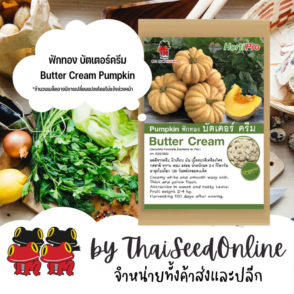 AGA Horti Pro(เอกะฮอร์ติโปร) AGA ซฟ เมล็ดพันธุ์ ฟักทอง บัตเตอร์ครีม 40 เมล็ด ตรากบดำกบแดง Butter Cream Pumpkin ฟักทอง...