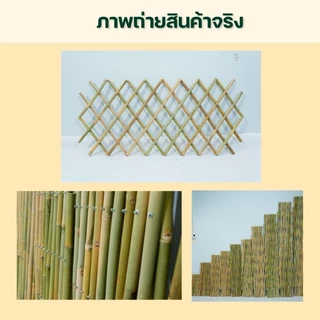 รั้วไม้ไผ่ยืดได้ รั้วไม้ไผ่พับเก็บได้ รั้วระแนงไม้ไผ่ มีทุกขนาด สินค้าพร้อมส่ง โรงงานมาเอง รหัส P019 ** ไม่เกิน 3 ชิ้น