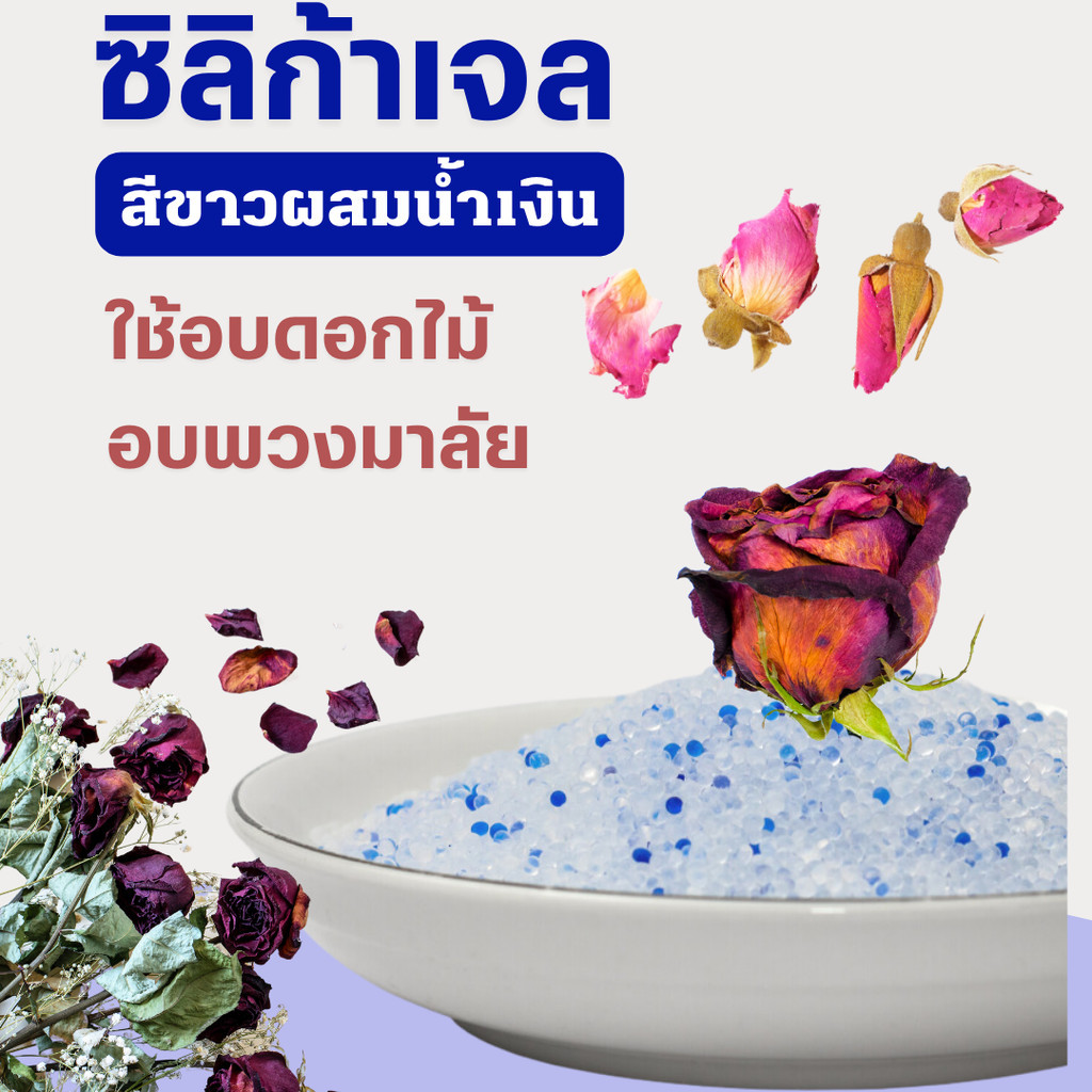 ซิลิก้าทราย :ซิลิก้าเจล ทำดอกไม้อบแห้ง ✅ถูกที่สุด✅